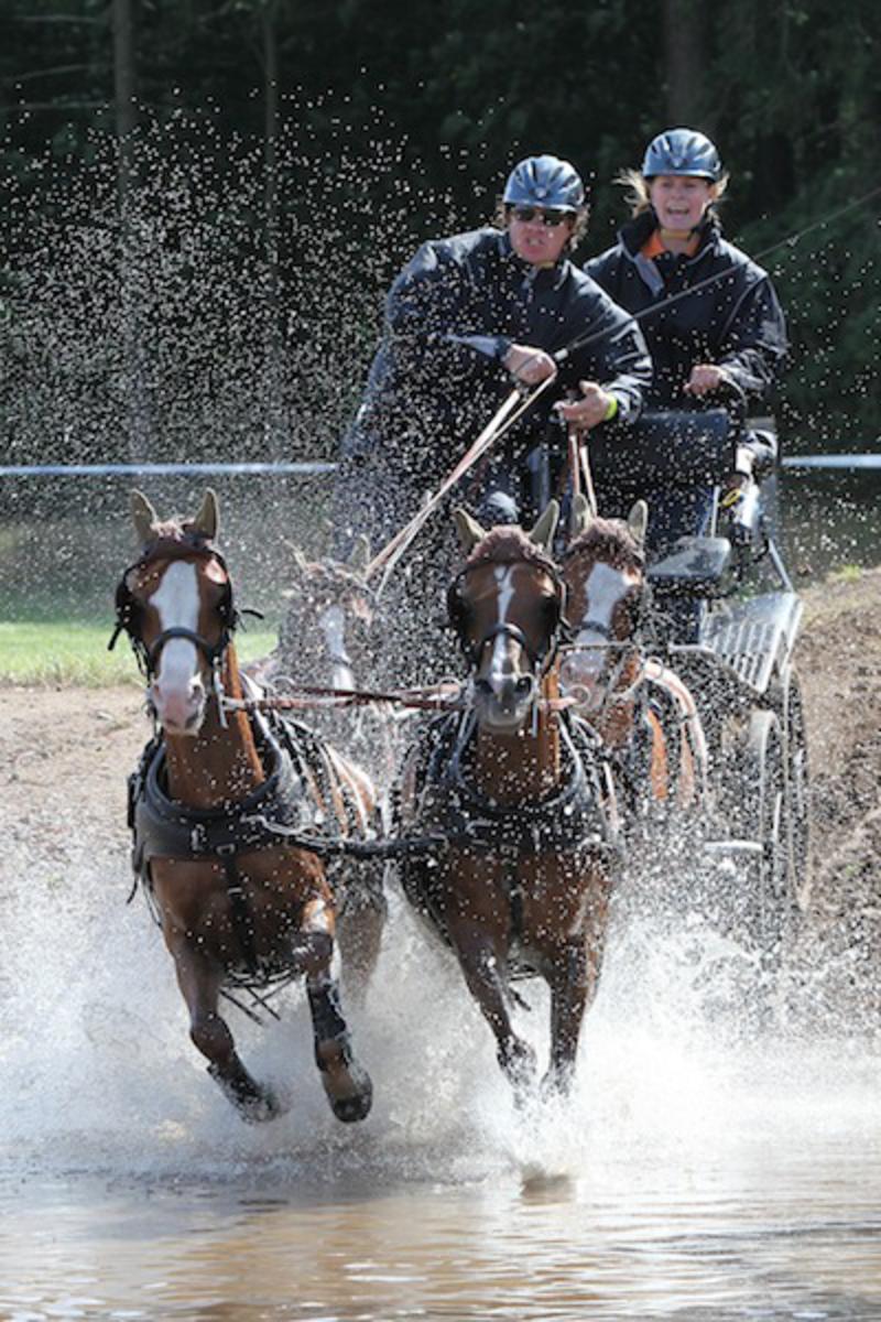 De marathon, het spectaculaire tweede onderdeel van de vierspan tijdens Breda Hippique. foto Peter Visser
